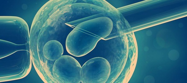 Vật liệu di truyền Sản sinh thành công tinh trùng nhân tạo trong phòng thí nghiệm