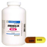 Thuốc kháng sinh amoxicillin