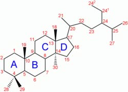 Steroid