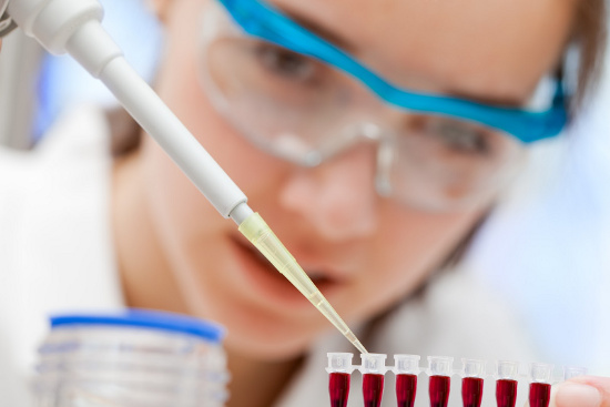 Tế bào gốc được nghiên cứu trong phòng thí nghiệm 