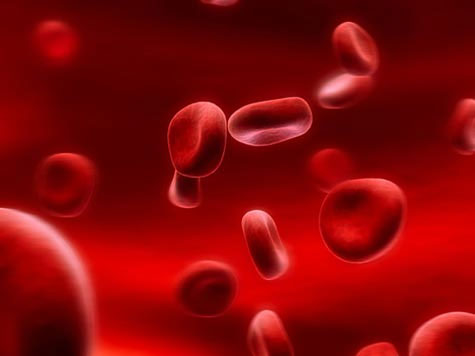 Việc tạo ra máu từ da người sẽ mở ra một tương lai triển vọng cho ngành y. 