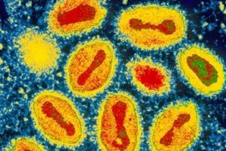 Virút bệnh đậu mùa có thể tiêu diệt tế bào ung thư
