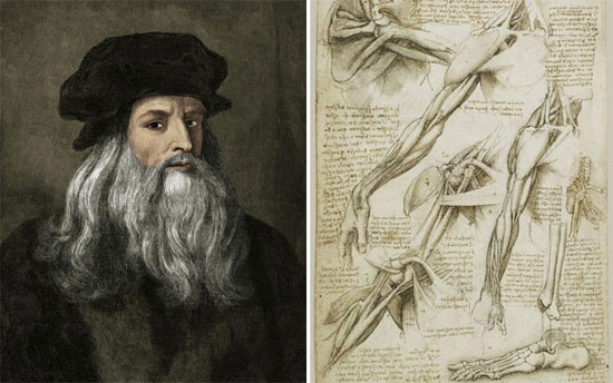 Chân dung Leonardo cùng với phác thảo cơ và xương người