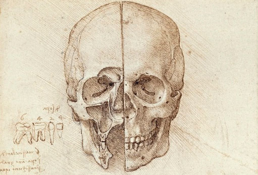 Leonardo da Vinci: Nhà khoa học giải phẫu