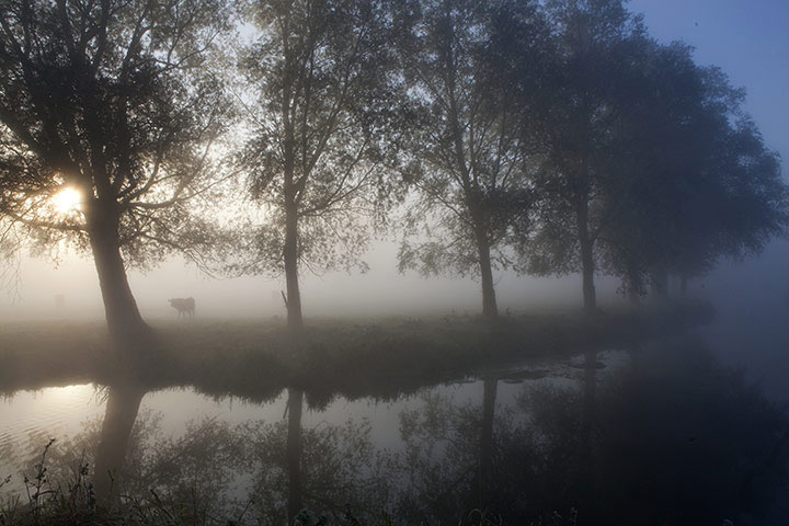 Buổi sáng mùa thu ở thung lũng Waveney, Suffolk, Anh.