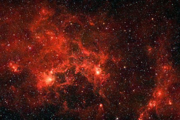 Kính thiên văn vũ trụ Spitzer của NASA ghi lại được hình ảnh những ngôi sao đang hình thành trong tinh vân Dragonfish. Những phần có màu sáng rực là khu vực có những ngôi sao đang hình thành.