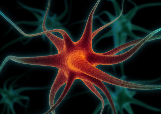 Hình minh họa một tế bào thần kinh. 
