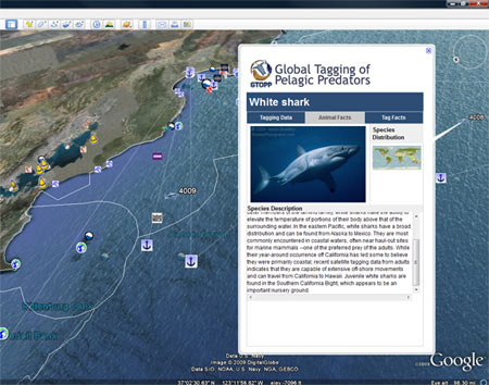 H&#236;nh ảnh đại dương kỳ th&#250; tr&#234;n Google Earth