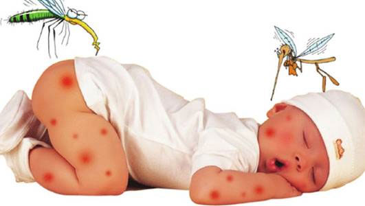 Cho trẻ nằm màn mỗi khi đi ngủ để phòng tránh muỗi đốt Cho trẻ nằm màn mỗi khi đi ngủ để phòng tránh muỗi đốt.