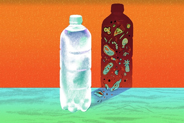 Uống nước để lâu có hại cho sức khỏe hay không?