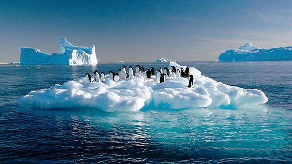 Khám phá bất ngờ về độ dày của khối băng Nam Cực 