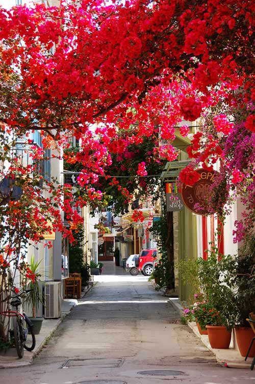 Nafplio, Peloponnese, Hi Lạp 15 con đường hoa đẹp nhất thế giới