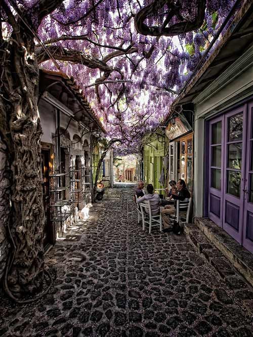Molyvos, Lesvos, Hi Lạp 15 con đường hoa đẹp nhất thế giới
