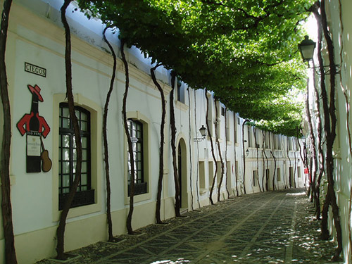 Jerez, Tây Ban Nha 15 con đường hoa đẹp nhất thế giới