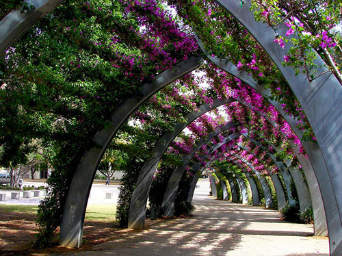 Brisbane, Úc 15 con đường hoa đẹp nhất thế giới
