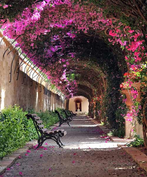 Valencia, Tây Ban Nha 15 con đường hoa đẹp nhất thế giới