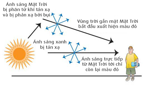 Tán xạ ánh sáng: Hiện tượng kỳ diệu và ứng dụng trong cuộc sống