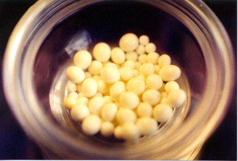 Xá lị - Một bí ẩn chưa được khám phá