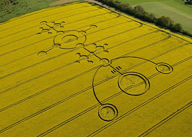 Những vòng tròn bí ẩn trên cánh đồng