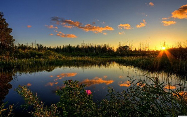 Vườn quốc gia Everglades