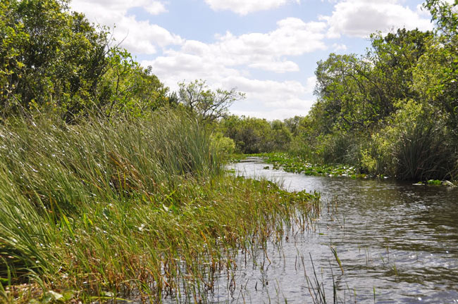 Vườn quốc gia Everglades - Hợp chủng quốc Hoa Kỳ