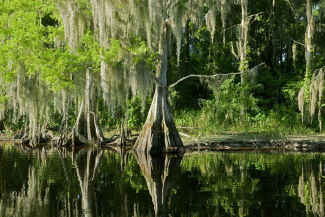 Vườn quốc gia Everglades - Hợp chủng quốc Hoa Kỳ