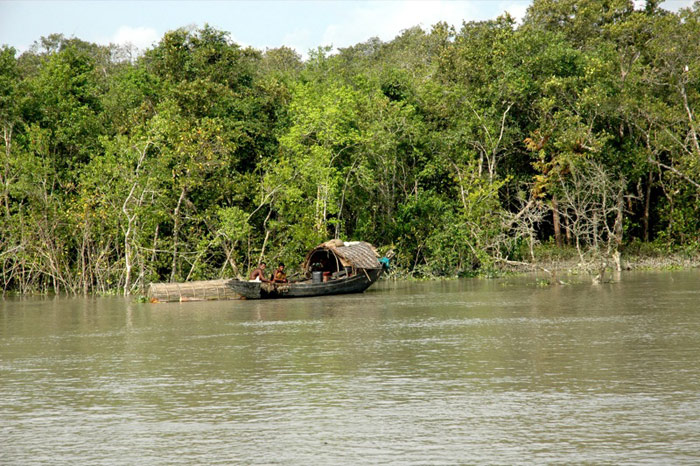 Khu bào tồn Sundarbans là khu rừng ngập mặn lớn nhất thế giới