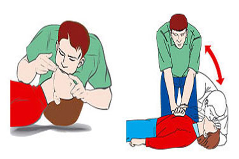 Nhấn vào ảnh để phóng to Hô hấp nhân tạo