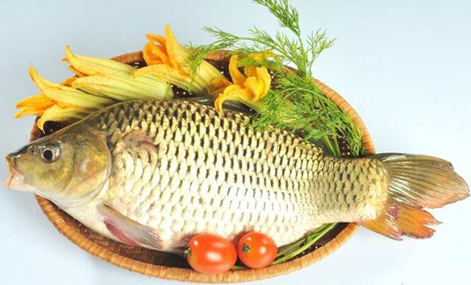 Cá là loại thực phẩm giàu chất dinh dưỡng