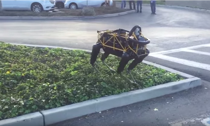 Chó nhà ghét chó robot hơn bạn tưởng đấy.