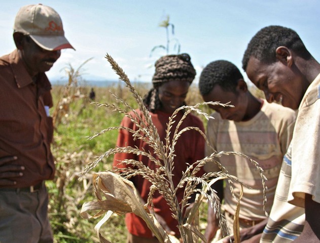 Ethiopia đã giải quyết được nạn đói triền miên.