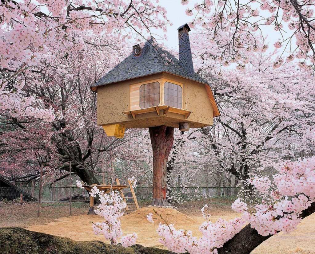 Teahouse Tetsu tree house, được bao quanh bởi những cây hoa anh đào tuyệt đẹp