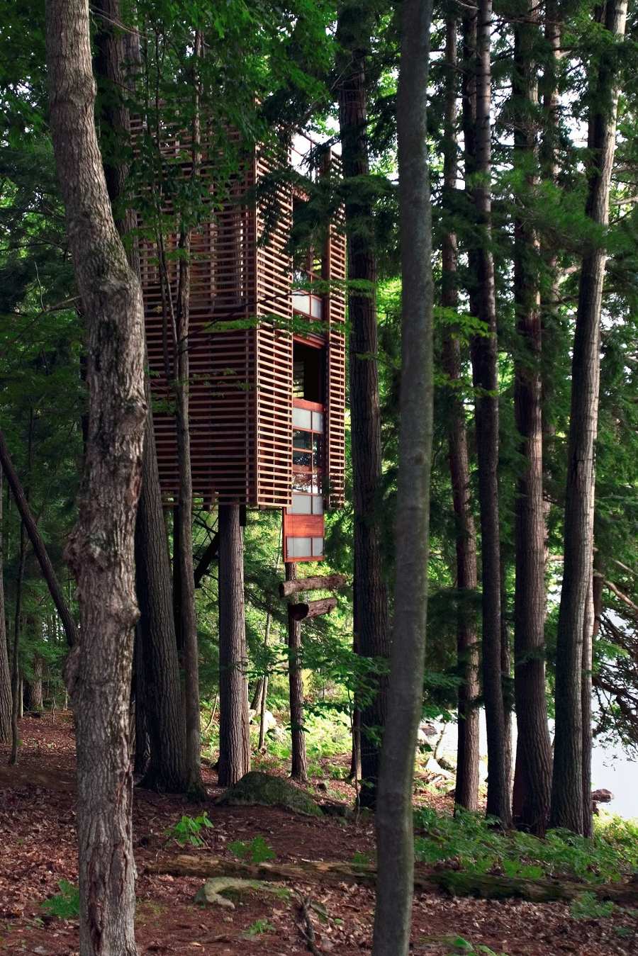 4 Treehouse được xây dựng xung quanh bốn thân cây trên hồ Muskoka ở Ontario, Canada, và bồng bềnh trong không khí như một chiếc đèn lồng lớn của Nhật Bản.