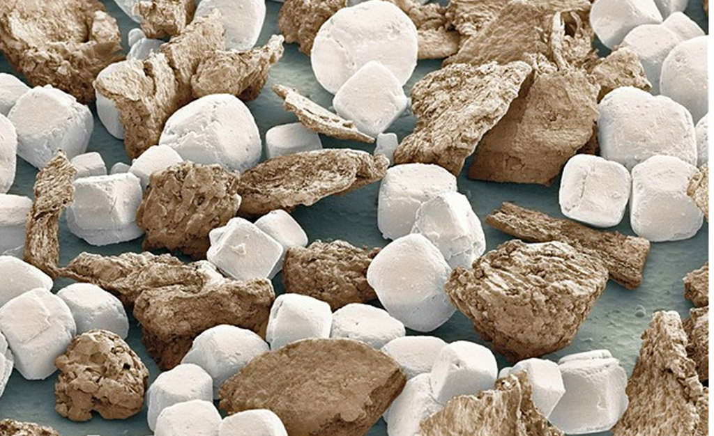 Hình ảnh muối và hạt tiêu dưới kính hiển vi