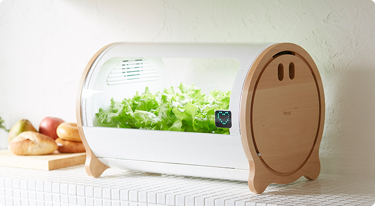  một công ty Nhật đã thiết kế sản phẩm giúp những người yêu thích rau xanh có được một khu vườn nhỏ trong nhà.