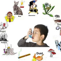 8 thắc mắc thường gặp về bệnh hen suyễn 8 thắc mắc thường gặp về bệnh hen suyễn