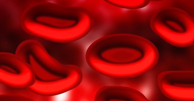 Sự thật về nhóm máu trong cơ thể bạn