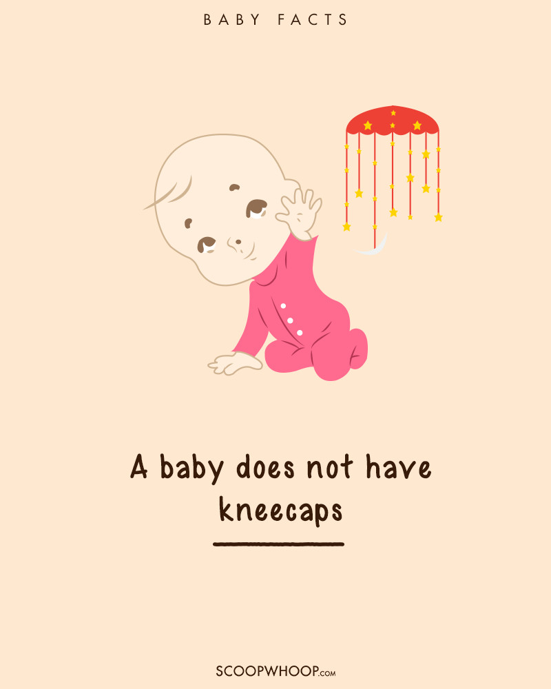 Một em bé vừa mới sinh sẽ không có xương bánh chè.