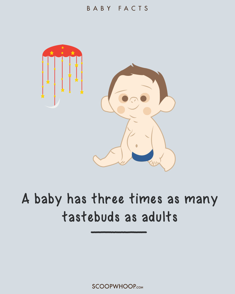 Một em bé sơ sinh sẽ có vị giác nhạy bén gấp 3 lần người lớn. 