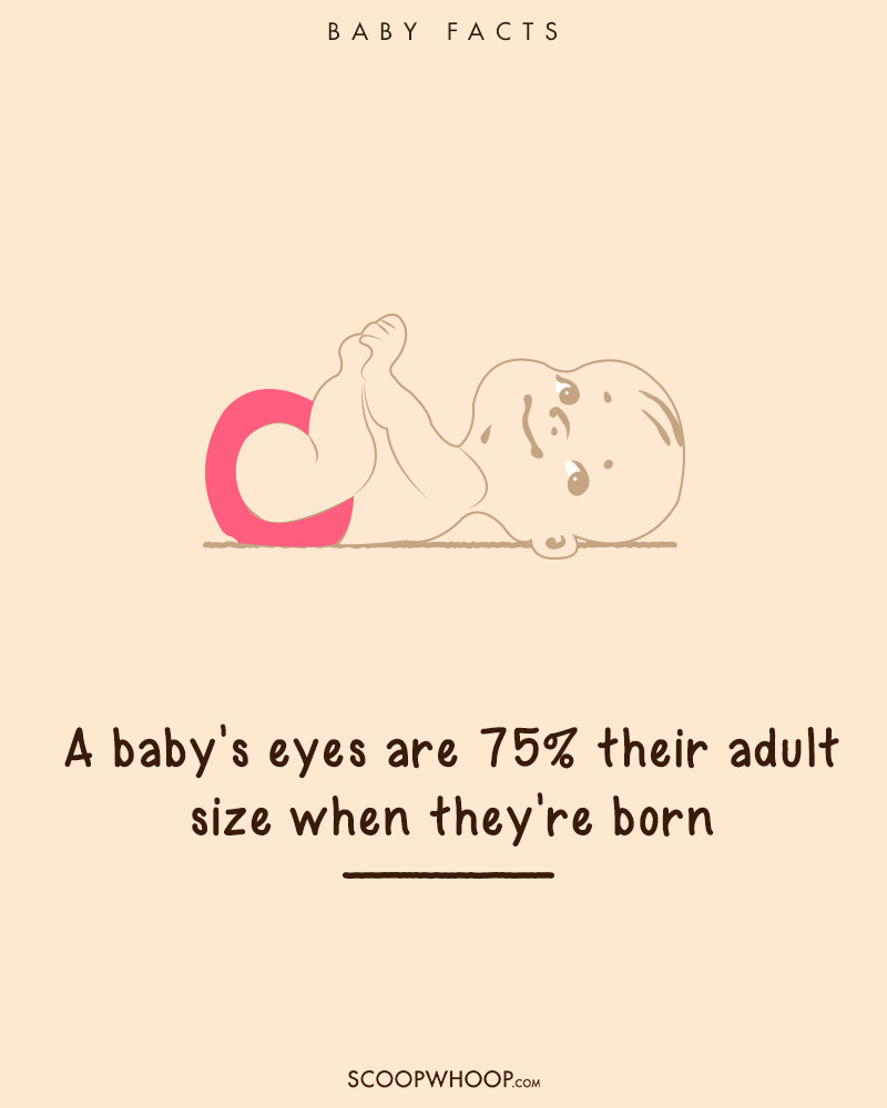 Mắt của bé to bằng khoảng 75% mắt của người lớn ngay khi bé vừa mới sinh ra. 