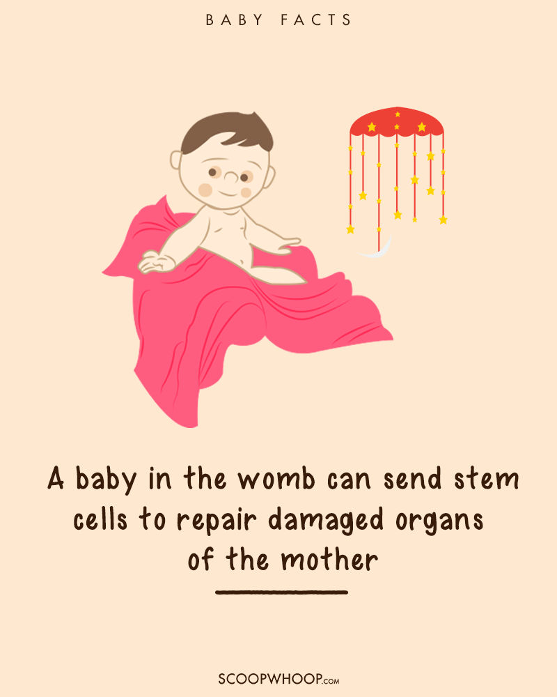 Khi nằm trong bụng mẹ bé có thể gửi tế bào gốc của mình để giúp mẹ phục hồi các thương tổn trên cơ thể. 