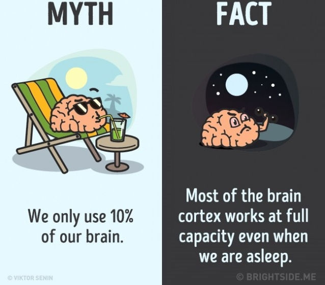 Sự thật là hầu hết các vùng vỏ não làm việc hết công suất ngay cả khi chúng ta đang ngủ. Sự thật là hầu hết các vùng vỏ não làm việc hết công suất ngay cả khi chúng ta đang ngủ.