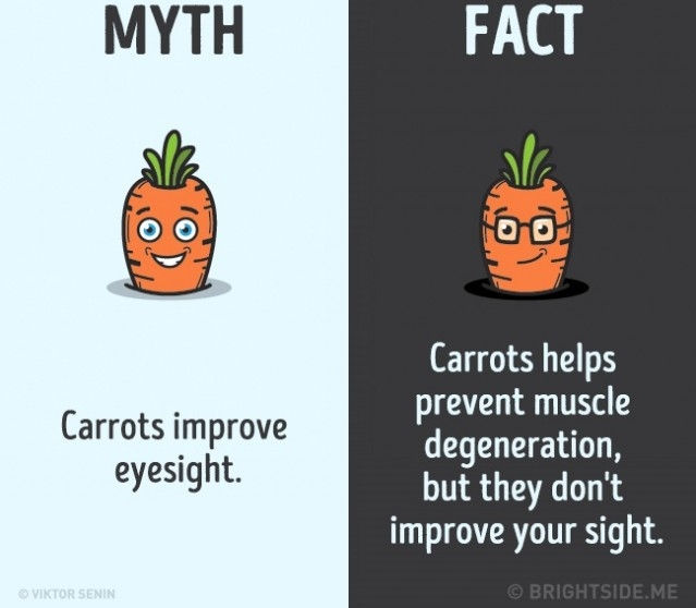 Sự thật là cà rốt giúp ngăn ngừa thoái hóa cơ nhưng không cải thiện thị lực. Sự thật là cà rốt giúp ngăn ngừa thoái hóa cơ nhưng không cải thiện thị lực.