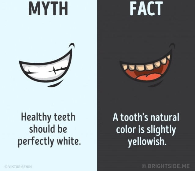 Sự thật là màu sắc tự nhiên của răng là hơi vàng. Sự thật là màu sắc tự nhiên của răng là hơi vàng.