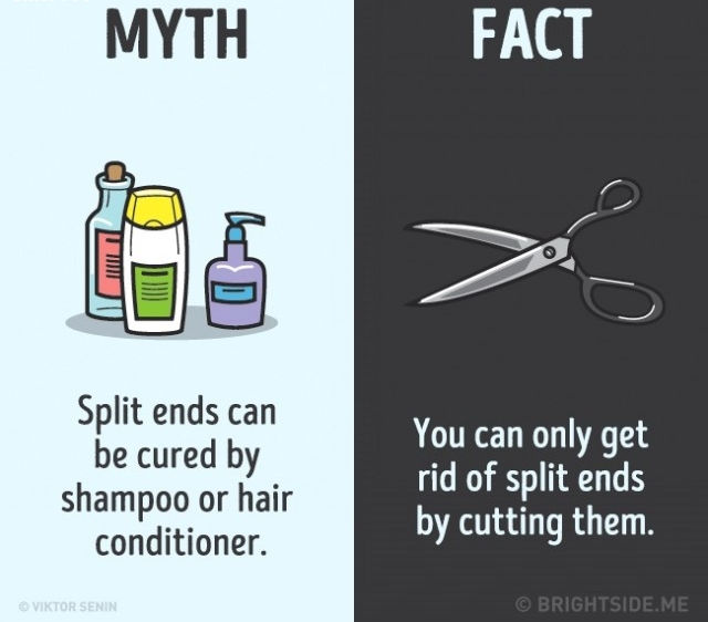 Có thể chữa trị tóc chẻ ngọn bằng dầu gội hoặc dầu xả. Sự thật là bạn chỉ có thể loại bỏ tóc chẻ ngọn bằng cách cắt phần bị chẻ ngọn đi. Có thể chữa trị tóc chẻ ngọn bằng dầu gội hoặc dầu xả. Sự thật là bạn chỉ có thể loại bỏ tóc chẻ ngọn bằng cách cắt phần bị chẻ ngọn đi.