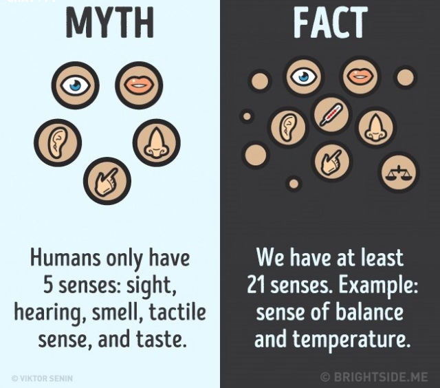 Sự thật là chúng ta có ít nhất 21 giác quan, chẳng hạn như cảm giác cân bằng và nhiệt độ. Sự thật là chúng ta có ít nhất 21 giác quan, chẳng hạn như cảm giác cân bằng và nhiệt độ.