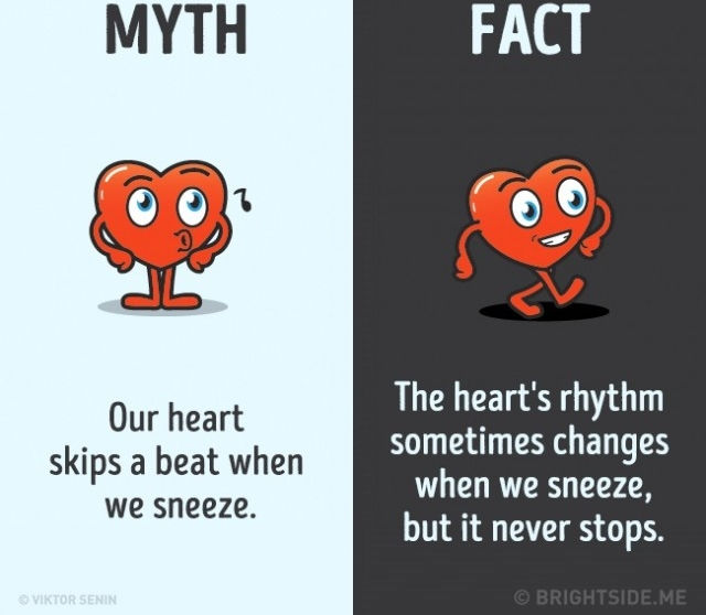 Sự thật là cảm lạnh do vi rút gây ra, không phải do khí hậu. Sự thật là nhịp tim đôi khi có thể thay đổi khi bạn hắt hơi, nhưng nó không bao giờ dừng lại.
