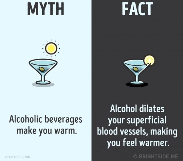 Sự thật là rượu làm giãn nở các mạch máu bề ngoài của bạn khiến bạn cảm thấy ấm áp hơn. Sự thật là rượu làm giãn nở các mạch máu bề ngoài của bạn khiến bạn cảm thấy ấm áp hơn.