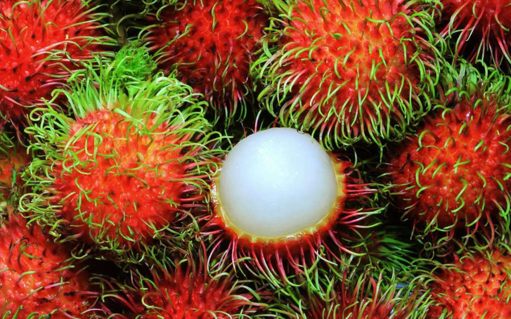 The 10 Best Voted Fruits In The World