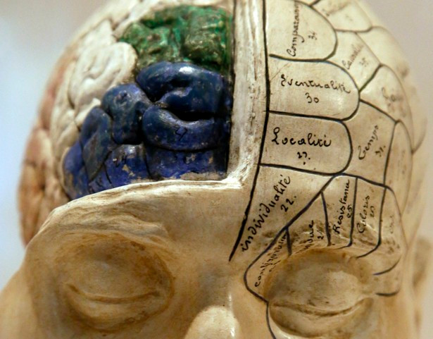 Liệu rằng bộ não của chúng ta có sử dụng hết 100% các khu vực, hay chỉ sử dụng 10%.